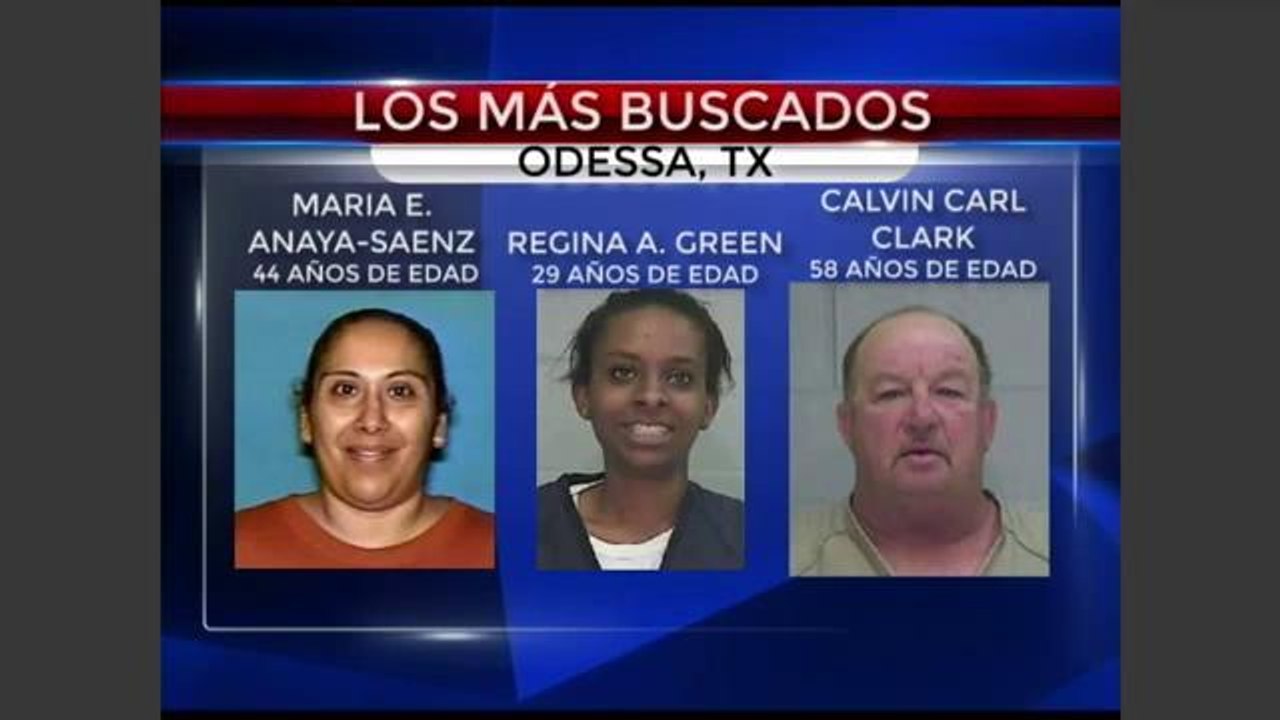 Los 5 más buscados