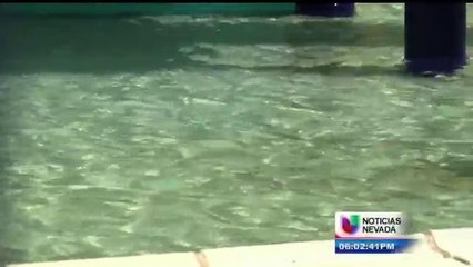 Albercas libre de bacteria