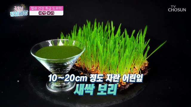 ‘나쁜 콜레스테롤’ 감소에 좋은 혈관 청소기 『○○○○』 TV CHOSUN 211117 방송