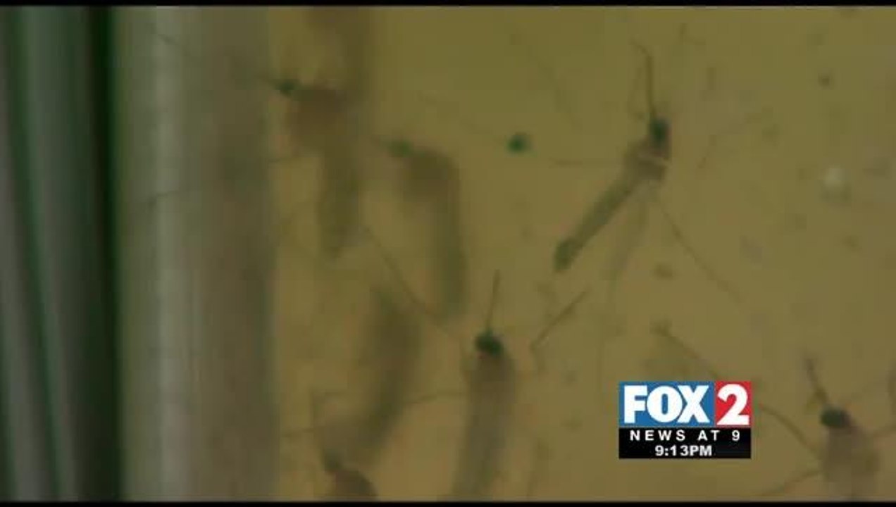 First Case of West Nile Confirmed in Texas
