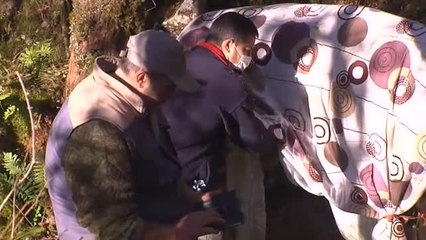 Rescatan a Lola, la vaca preñada que quedó atrapada en un río en Pontevedra