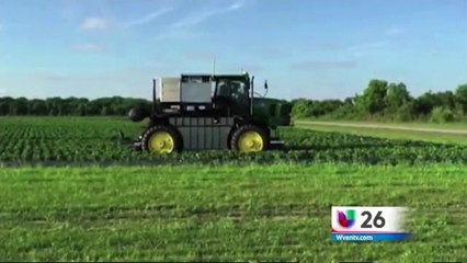 Robot reemplazaría la mano de obra para recolectar fresas