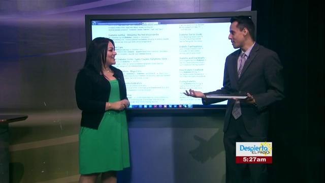 Búsquedas de internet seguras y efectivas.