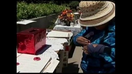 Reacción sobre Acciones Ejecutivas