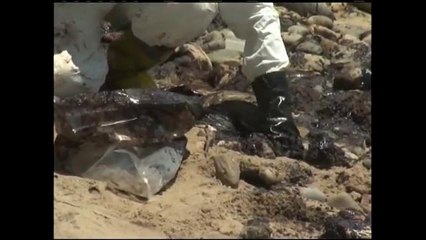 Efectos del derrame petrolero