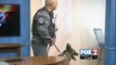 Hidalgo County Sheriff\'s Office K-9 Deputies Working to Keep South Texas Safe