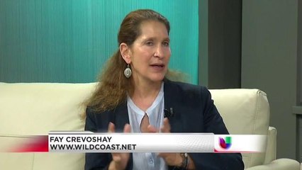 Cambios climatológicos y deterioro de la capa de ozono