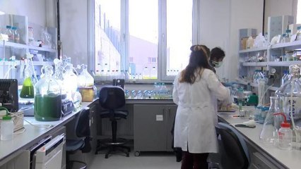 YOSUNDAN ÜRETİLEN JET YAKITI 2022'DE İLK KEZ UÇAKLARDA KULLANILACAK