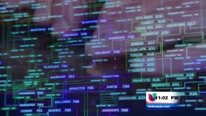 BRACHA MASIVA DE INFORMACIÓN DE TRABAJADORES FEDERALES