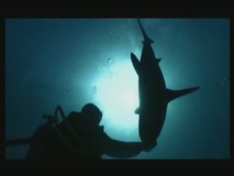 L'homme qui charmait les requins Partie 4/5