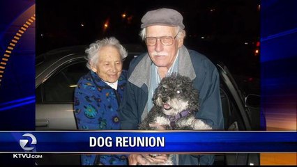 Santa Cruz Couple Reunited With Their Dog