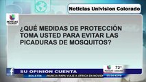 Su opinión cuenta: mosquitos