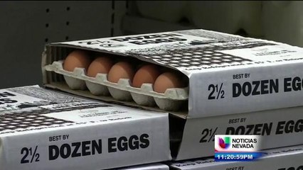 Sube el precio del huevo a consecuencia de la mayor epidemia de gripe aviar en la historia del país