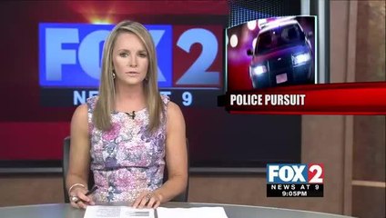Police Pursuit Ends in Bailout and Foot Chase North of Edinburg