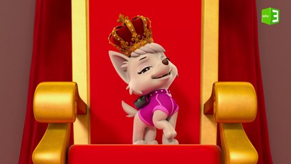 القطة الملكة المغرورة