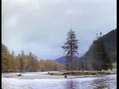 Pub Taekwondo Saumon (john west)