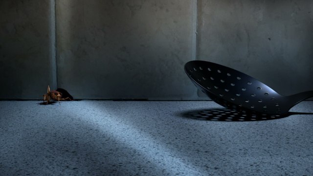 Punaises de lit, cafards, souris… : propriétaires-bailleurs, vous allez devoir faire le ménage chez vous