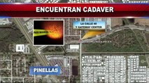 Encuentran cadaver de mujer en Pinellas