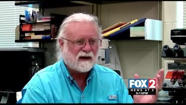 Experts Predict Worst Mosquito Infestation in 20 Years