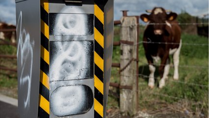 Dans ce département, 80% des radars fixes sont hors-service !