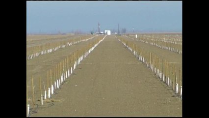 Ayuda federal debido a la sequía