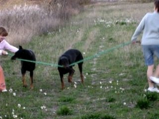 dimanche titi et alter