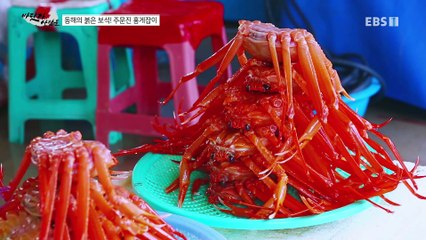 바닷가 사람들 - 동해의 붉은 보석! 주문진 홍게잡이_#003