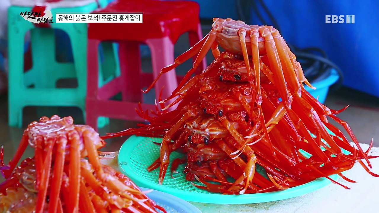 바닷가 사람들 - 동해의 붉은 보석! 주문진 홍게잡이_#003