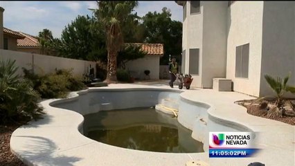 Las albercas verdes representan una amenaza para la salud pública