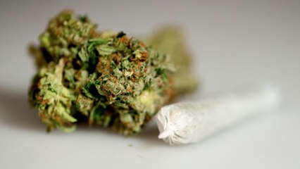 Cannabis : le premier coffee shop a ouvert ses portes à Paris