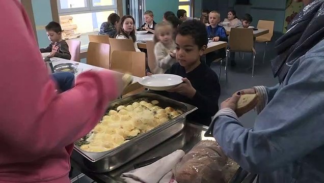 Школьникам планеты вернут обеды