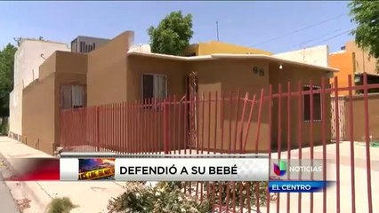 Continuan las investigaciones