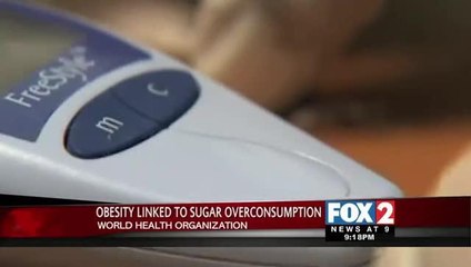 Sugar is a Leading Contributor To Obesity