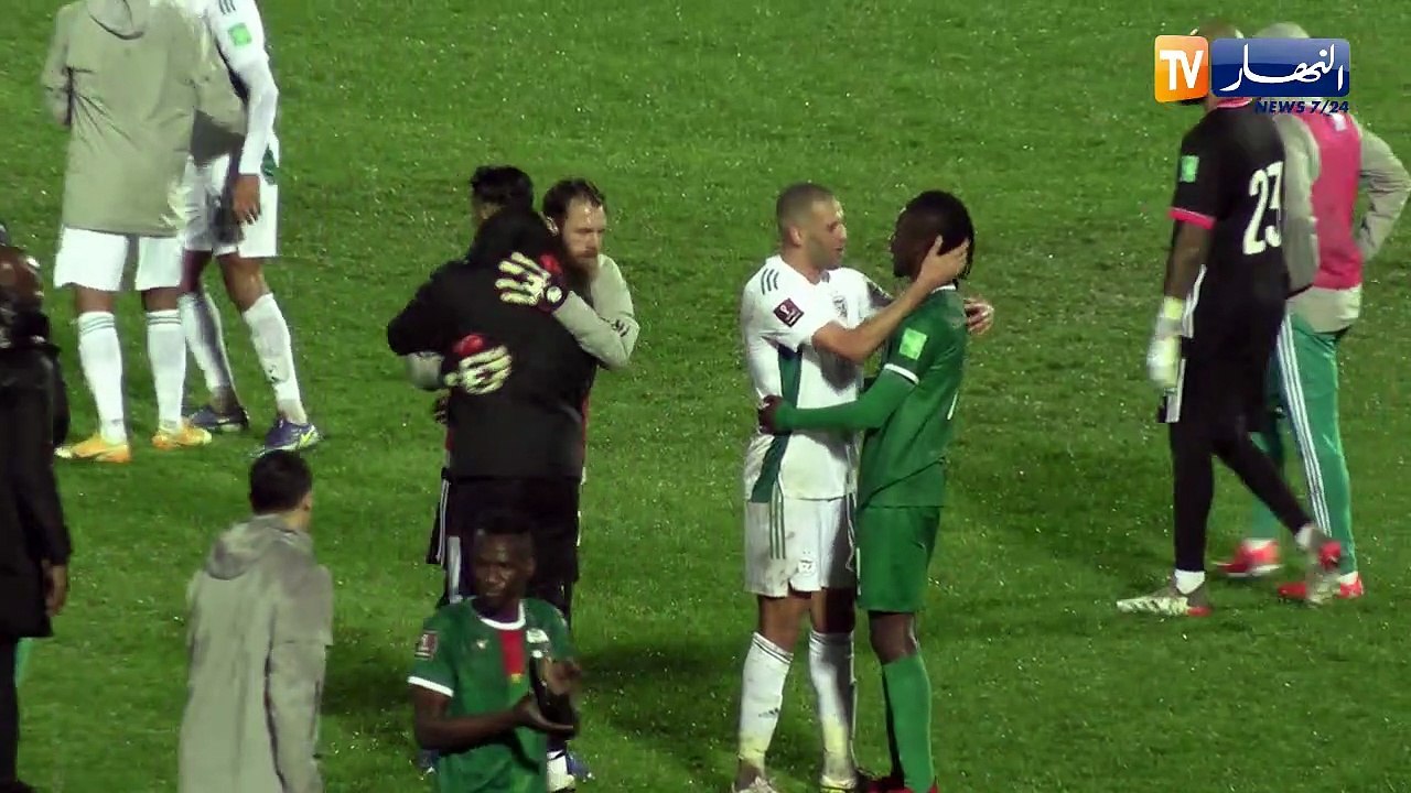 فرحة  بلماضي لاعبي المنتخب الوطني بعد التأهل إل...
