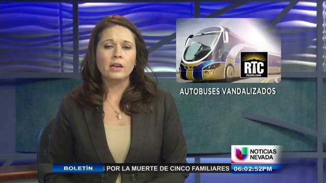 Actos de vandalismo a autobuses RTC
