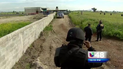 Reacciones Del Chapo