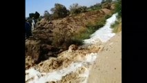 4 morts et des centaines de piqûres de scorpions après des pluies diluviennes en Egypte