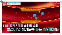 혈압이 33%이상 정상화 시킨 혈관 청소부 RTG 오메가3 TV CHOSUN 20211117 방송