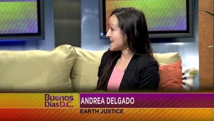 Cenizas tóxicas del carbón y sus consecuencias