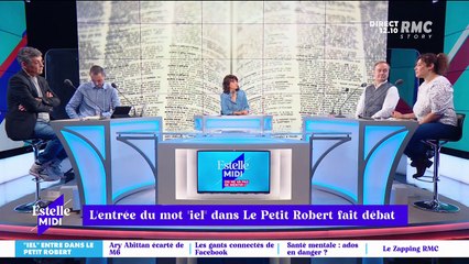 L'entrée du mot "iel" dans Le Petit Robert fait débat - 17/11