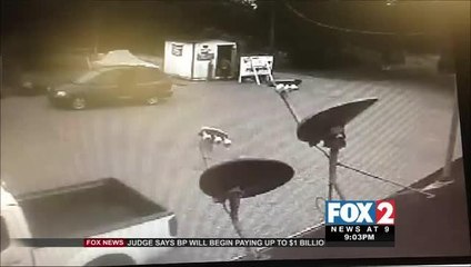 Suspect Caught on Cameras Breaking into Paintball Business