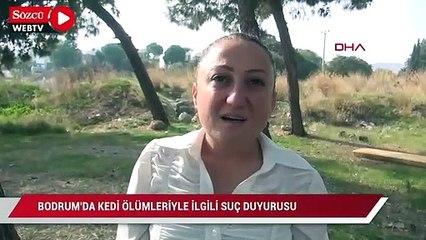 Bodrum’da kedi ölümleriyle ilgili suç duyurusu
