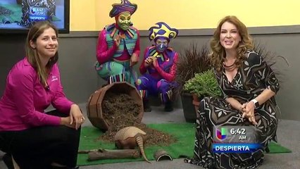 Noches de Verano en Sea World