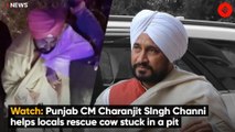 Watch: Punjab CM Charanjit SIngh Channi helps locals rescue cow stuck in a pit