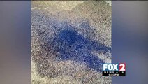 Oil Spill Prompts Road Closure In La Joya