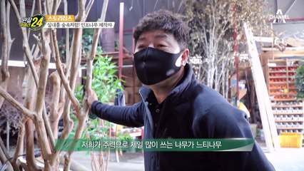 가지 치기부터 꽃잎 접착까지! 정성 듬뿍 들어간 100% 수작업 인조나무