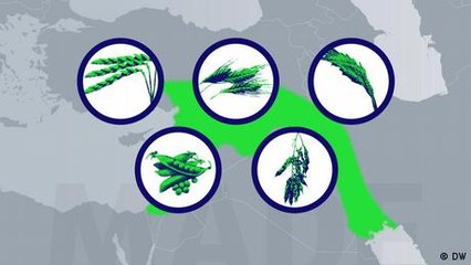 Semillas: impulso civilizador y manzana de la discordia