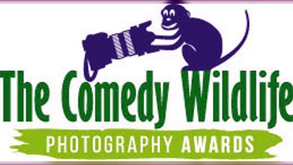 Comedy Wildlife Photography Awards