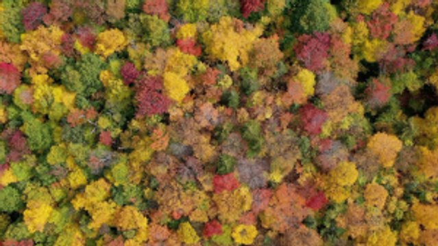 Must-Have Fall Items