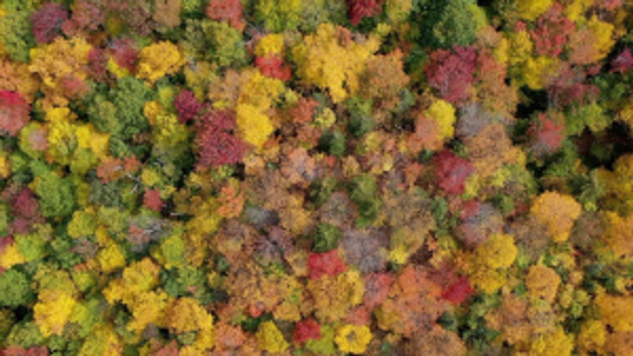Must-Have Fall Items